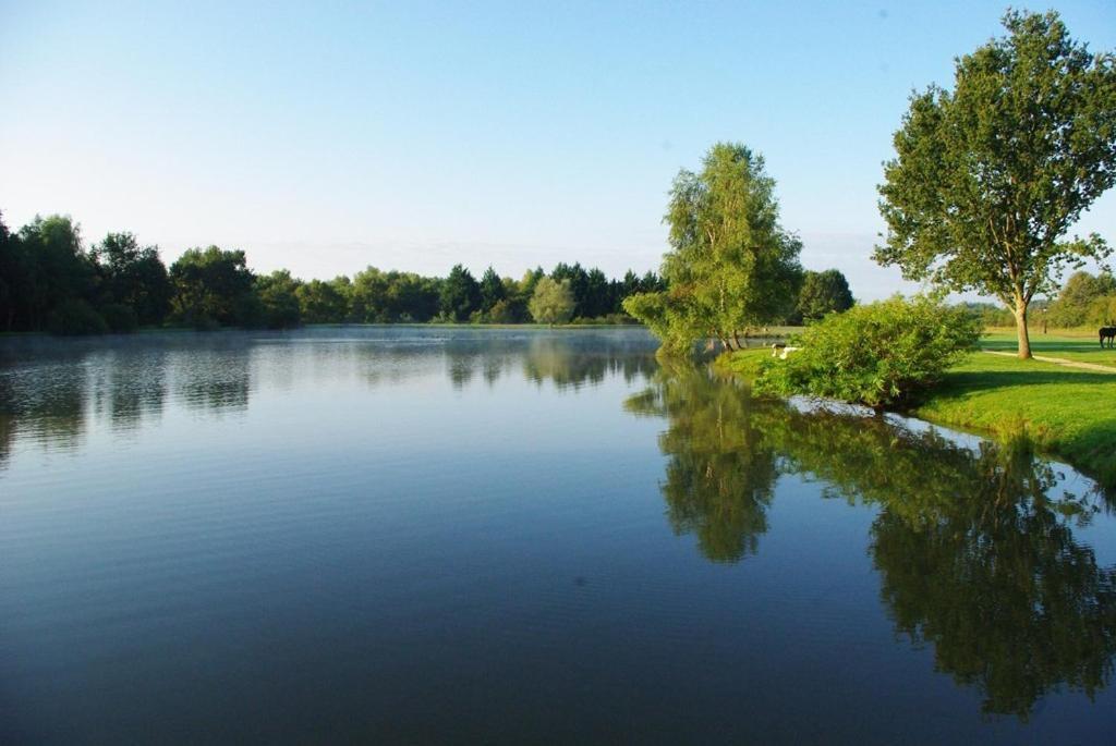 L'Oree Des Chenes, The Originals Relais La Ferté-Saint-Aubin Εξωτερικό φωτογραφία
